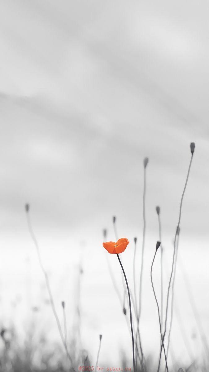 最能到极致欢愉的“69式”延展性爱姿势