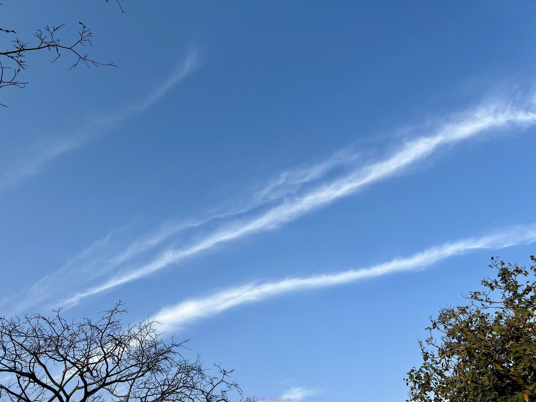 科学探究：大蒜精油的功效与作用