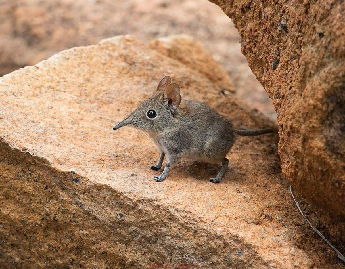 激情到爆三个性爱方式